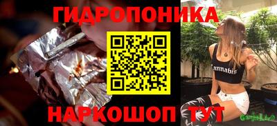гидра Заводоуковск