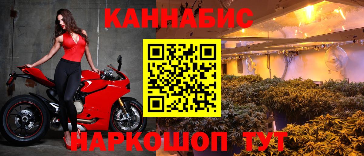 Каннабис гибрид Малоярославец
